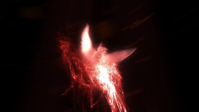 Fire Phoenix Flame Animation. Logo Intro Animation Flame. Phoenix Flame Logo