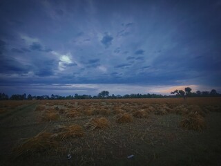 sunset in the desert