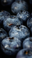 Still life with blueberries. Dark style