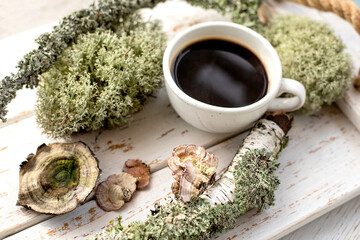 Mushroom coffee chaga superfood. Dried mushrooms and and a cup of coffee. Healthy organic...