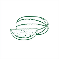 Fresh juicy slise parts and watermelon fruit in doodle hand drawn style.