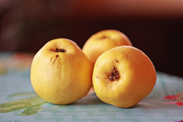 Three fresh quinces on the kitchen table.