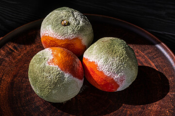 Moldy Sicilian oranges. Three Sicilian oranges covered with beautiful turquoise mold with white...