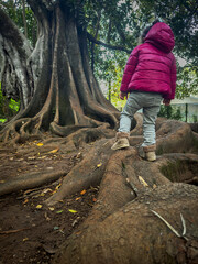 Girl on top of giant ancient tree roots.