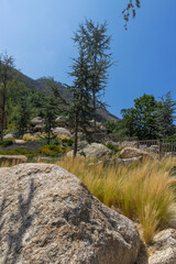 View of the mountains with rocks and pine trees.