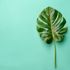 Elegant Tropical Leaf in Summer Vibe Background

