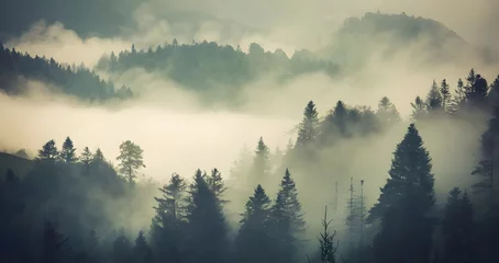 Keuken foto achterwand Mistig bos landscape with fir forest in vintage 