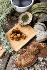 Chaga and Turkey’s tail, Trametes versicolor mushroom. Mushroom coffee chaga superfood. Dried mushrooms and and a cup of coffee. Healthy organic energizing adaptogen, endurance boosting food trends. 