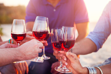 People holding glasses of red wine making a toast at the beach
