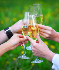 People holding glasses of champagne making a toast outdoors