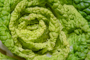 Close ups of Cabbage Heart, Vegetables