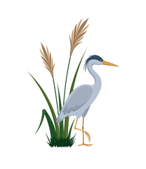 Gray heron and cane, eps 10 format