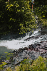 Fototapeta premium A bubbling clear river in the rainforest