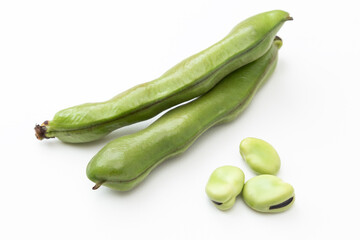 白背景にソラマメ