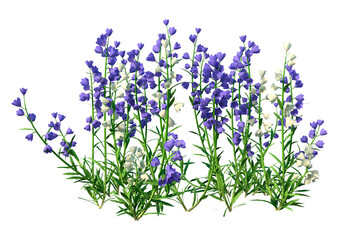 3D Rendering Canterbury Bells on White