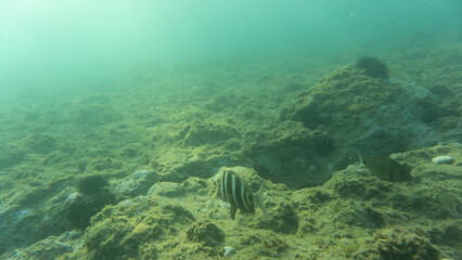damage of the seabed.underwater