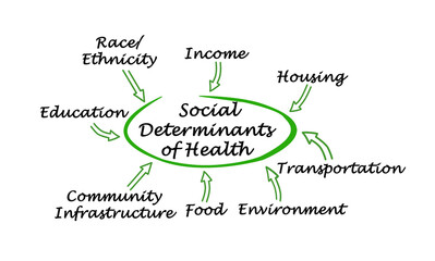 Fototapeta premium Eight Social Determinants of Health