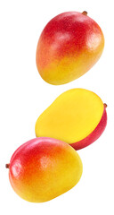 Fresh organic mango isolated on white background