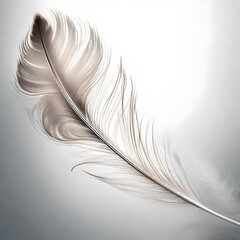 A single, intricately detailed feather floating weightlessly in the air