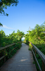A wooden path leading to the beach, travel, summer, and beach concept