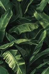 A detailed view of a collection of vibrant green leaves. Perfect for nature enthusiasts or those in need of a fresh and natural backdrop
