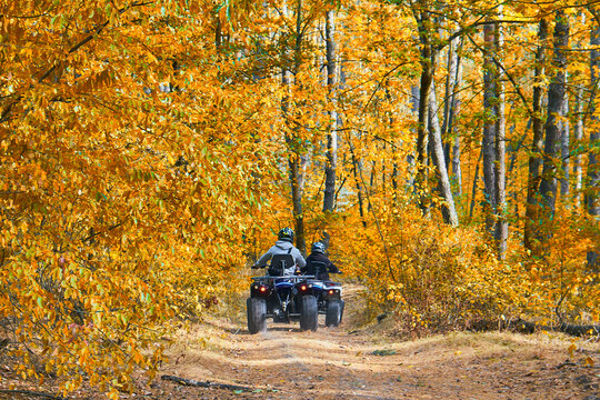 Adventurous quad biking in a sunlit autumn forest