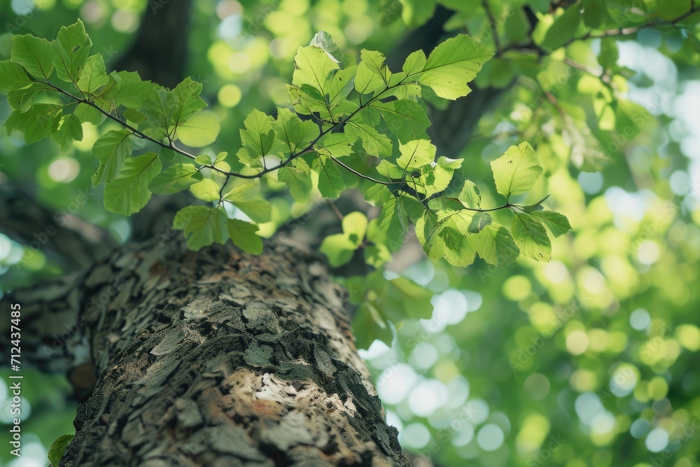 Poster a detailed view of a tree trunk covered in vibrant green leaves. this image can be used to depict na