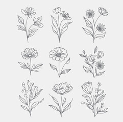 Set of hand drawn wildflowers. Monochrome vector illustration. - obrazy, fototapety, plakaty