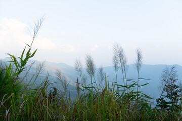 The foreground is covered with grass. Landscape view of mountain ranges lined up background. Under...
