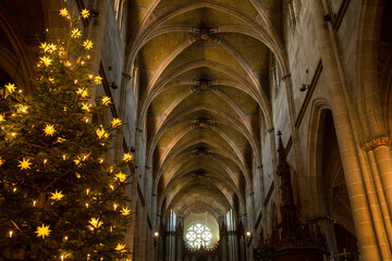 Beleuchtete Papiersterne an Weihnachtsbaum in Kirche in gotischem Baustil