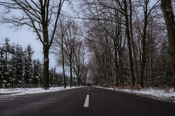 Schneebefreite Strasse am Waldrand