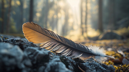 eagle's feather lying on a rocky surface, the feather's textures and patterns in sharp focus against the blurred background of a forest