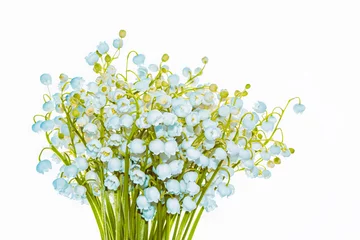 Foto op Canvas White flowers of lily of the valley. Convallaria majalis, isolated on white background. © alenalihacheva