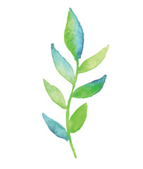Fototapeta premium green blue leaves isolated on white background. watercolor hand painted
