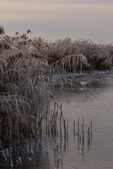 frozen lake winter landscape