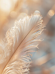 single feather, showcasing intricate details and textures, with a soft-focus background highlighting the unique structure of the feather, the light reflecting off its surface, creating a shimmering ef