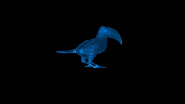 4k Toucan Bird  technology video. Toucan Bird technology video, Toucan Bird 360 turn, Toucan Bird wireframe video, illustration of a bird