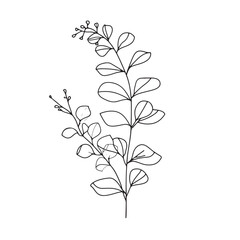 Eucalyptus branch abstract line art drawing for logos and invitations