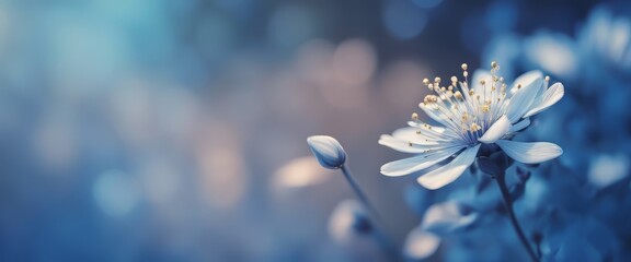 Blue beautiful flower on a beautiful toned blurred background, border. Delicate floral background - Powered by Adobe
