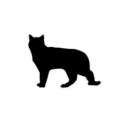 black shadow of cat Walking, vector illustration