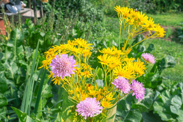 Yellow and blue flowers in the garden in the village. Summer in the village