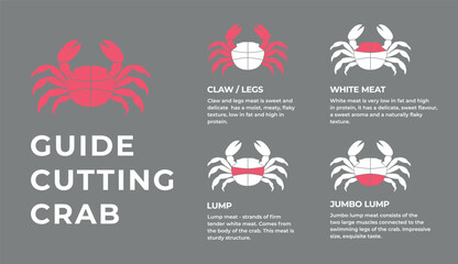Cutting meat crab carcass, seafood, turkey, pork, lamb, cow, chicken guide. Diagrams сutting parts meat lobster, seafood. Butcher guide. Vector flat color drawing illustration. Isolated. © Alex Strelnikov