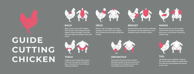 Guide cutting meat carcass chicken, duck, turkey, pork, lamb, cow. Butcher guide. Diagrams сutting parts meat carcass domestic farm poultry and farm livestock. Vector flat color illustration isolated. - obrazy, fototapety, plakaty