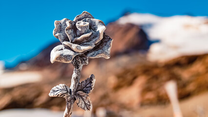 Details of a stone rose at Wildspitzbahn cable car, Pitztal Glacier, Imst, Tyrol, Austria