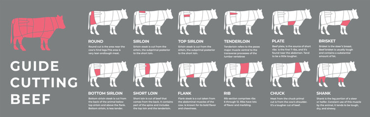 Guide cutting meat carcass beef, cow, turkey, lamb, pork, chicken. Butcher guide. Diagrams сutting parts meat carcass domestic farm poultry and farm livestock. Vector flat color illustration isolated.