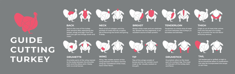 Fototapeta premium Guide cutting meat carcass turkey, lamb, pork, cow, chicken. Butcher guide. Diagrams сutting parts meat carcass domestic farm poultry and farm livestock. Vector flat color illustration isolated.