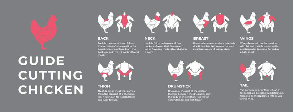 Guide cutting meat carcass chicken, duck, turkey, pork, lamb, cow. Butcher guide. Diagrams сutting parts meat carcass domestic farm poultry and farm livestock. Vector flat color illustration isolated.