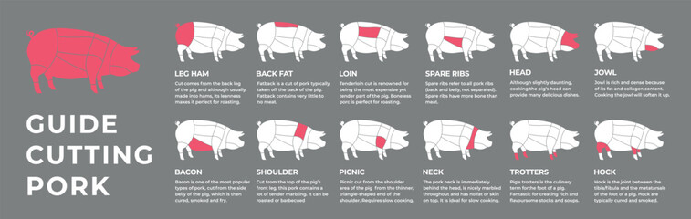 Guide cutting meat carcass pork, lamb, cow, chicken, turkey. Butcher guide. Diagrams сutting parts meat carcass domestic farm poultry and farm livestock. Vector flat color illustration isolated.