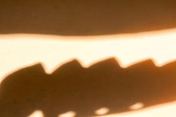 Shadow of leaves on a beige background, Wall light with shadows, shadow on beige wall background texture.