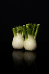 Two fennel vegetables bulbs standing on a black background with reflection